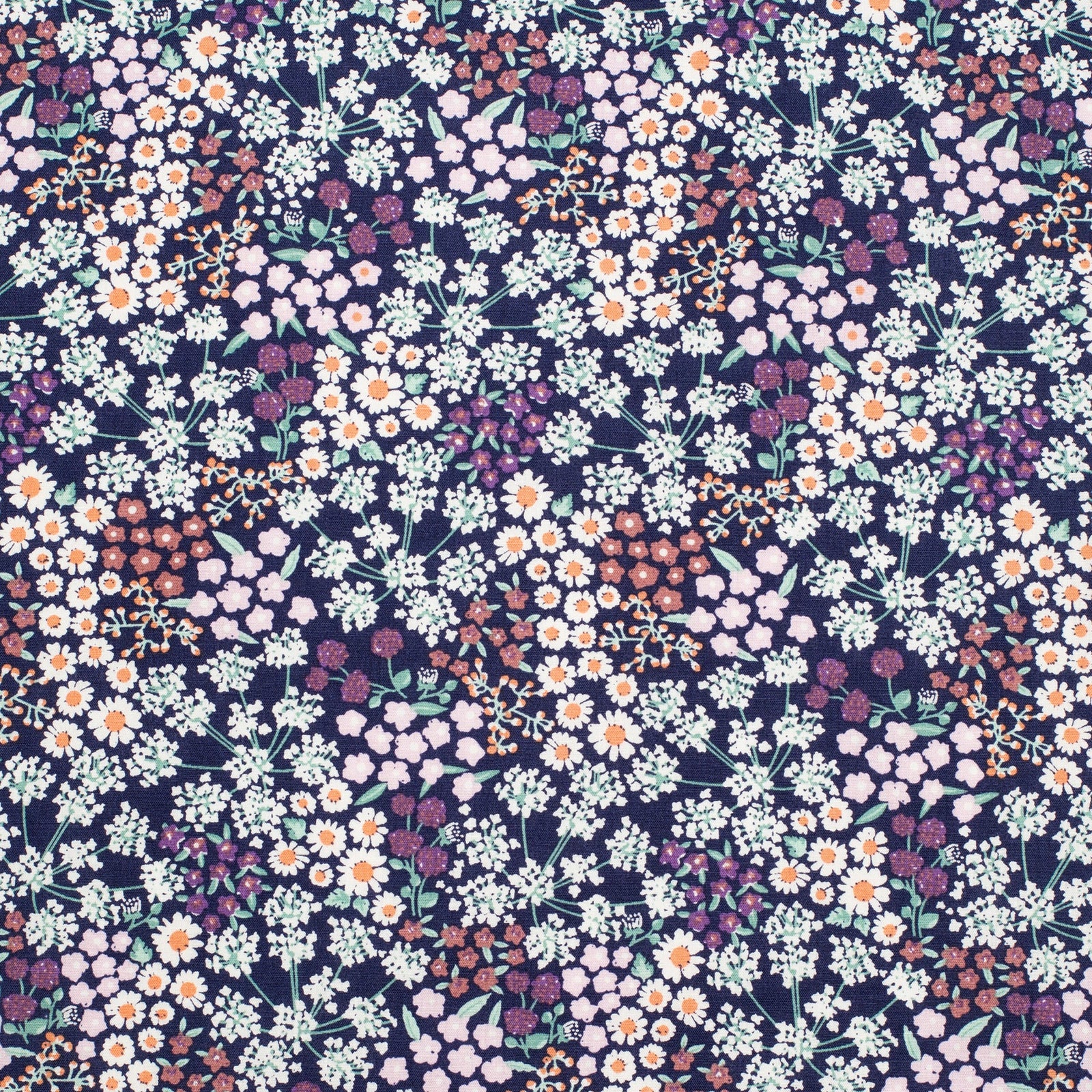 Just Country Women's Georgie Half Button L/S Shirt