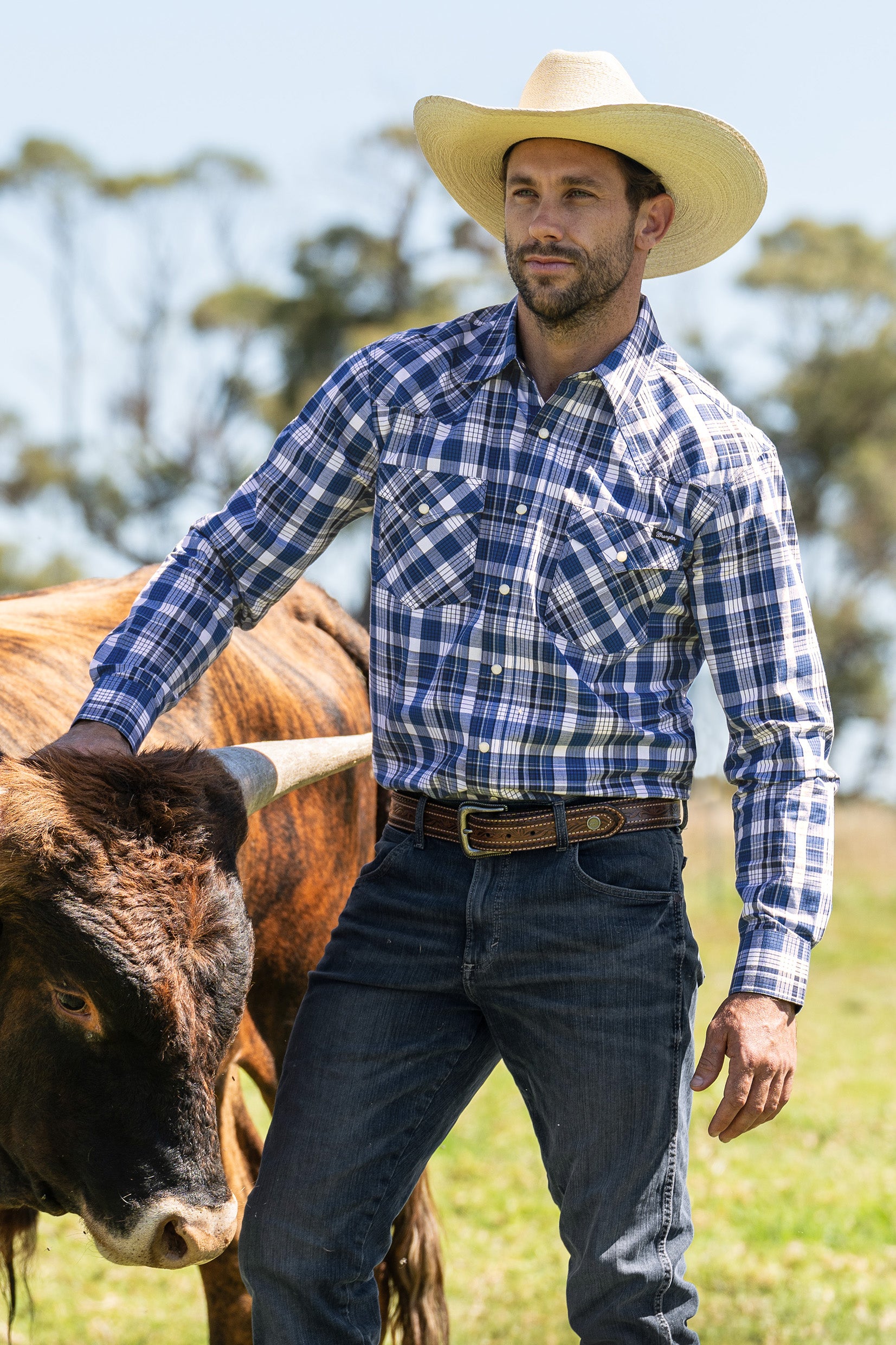 Wrangler Men's Hogan Western Belt