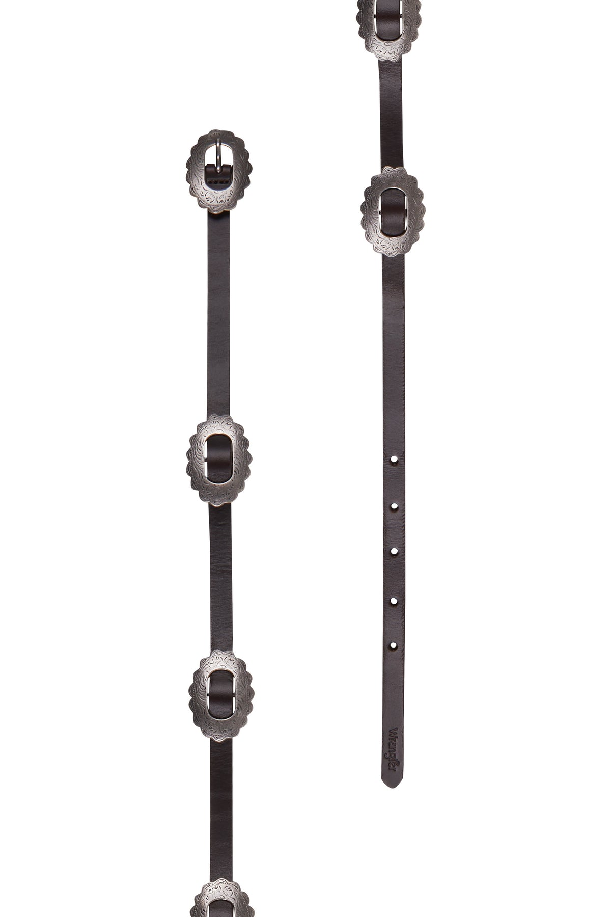 A brown Wrangler Women's Eden Western Belt with a concho design and antique silver hardware.