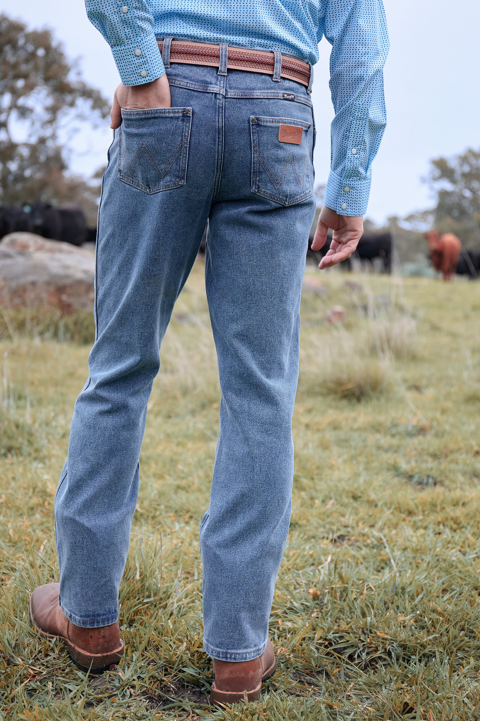 Person wearing blue jeans and a checkered shirt standing in a grassy field with cows in the background.