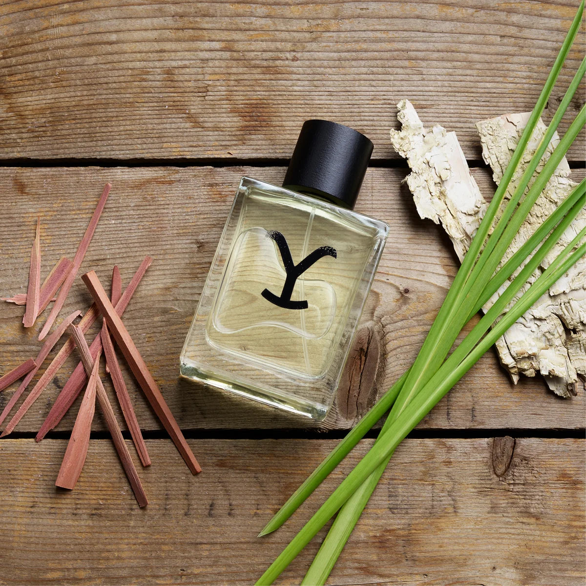 Perfume bottle with a black cap on a wooden surface with green leaves and pink petals.