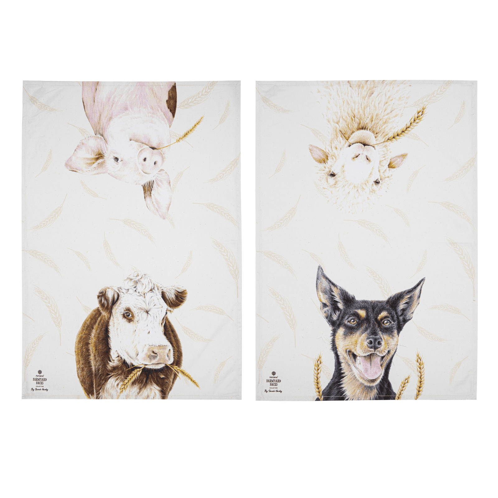 Ashdene Farmyard Faces 2pk Kitchen Towel Ashdene