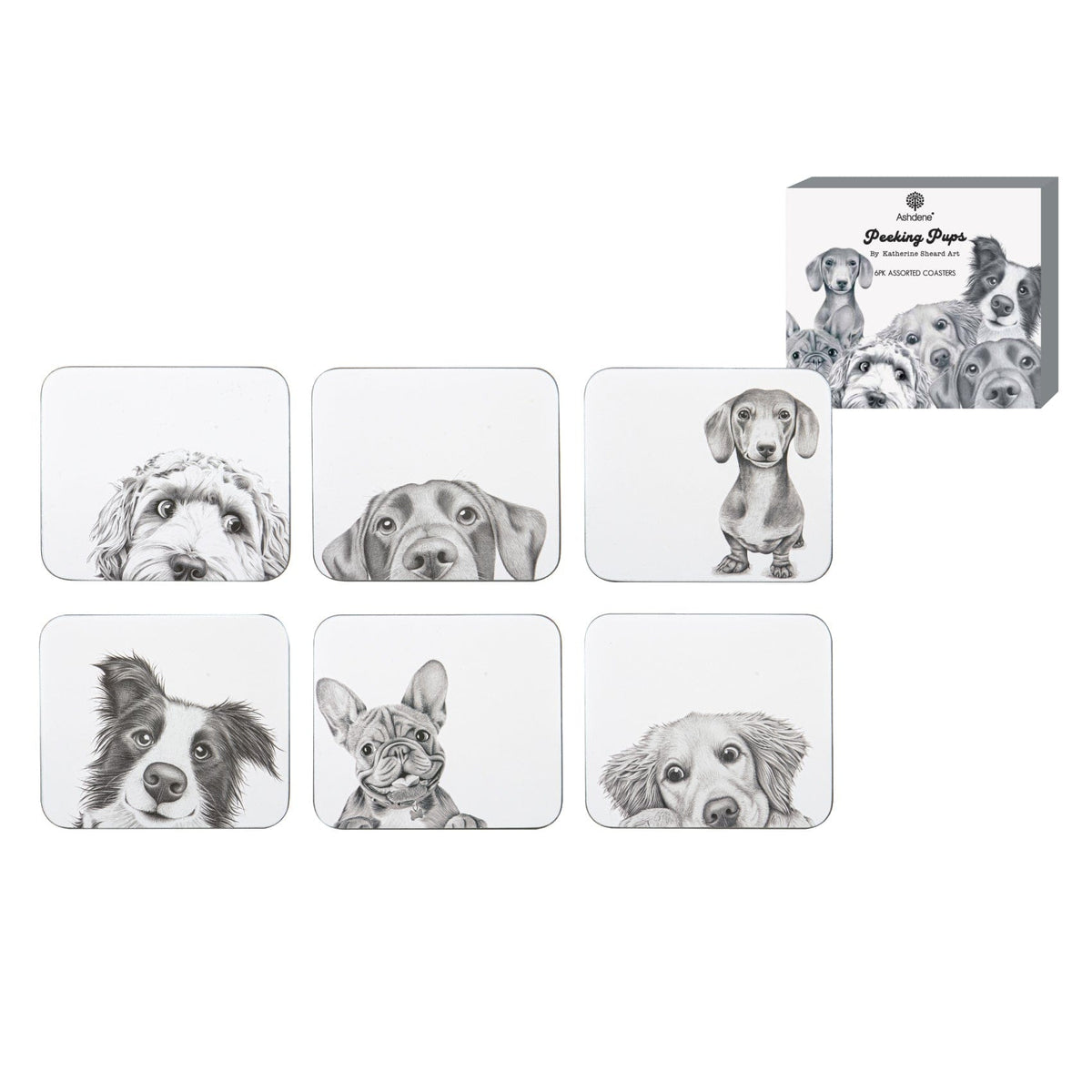 Ashdene Peeking Pups 6pk Coaster Ashdene