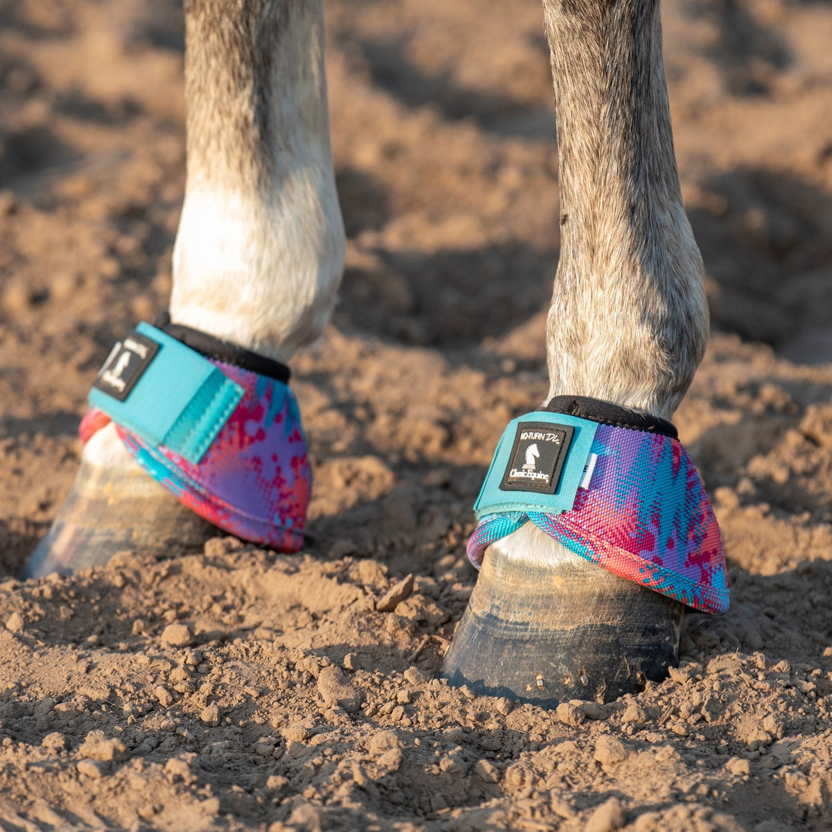 Horse hooves with colorful protective boots on a dirt ground