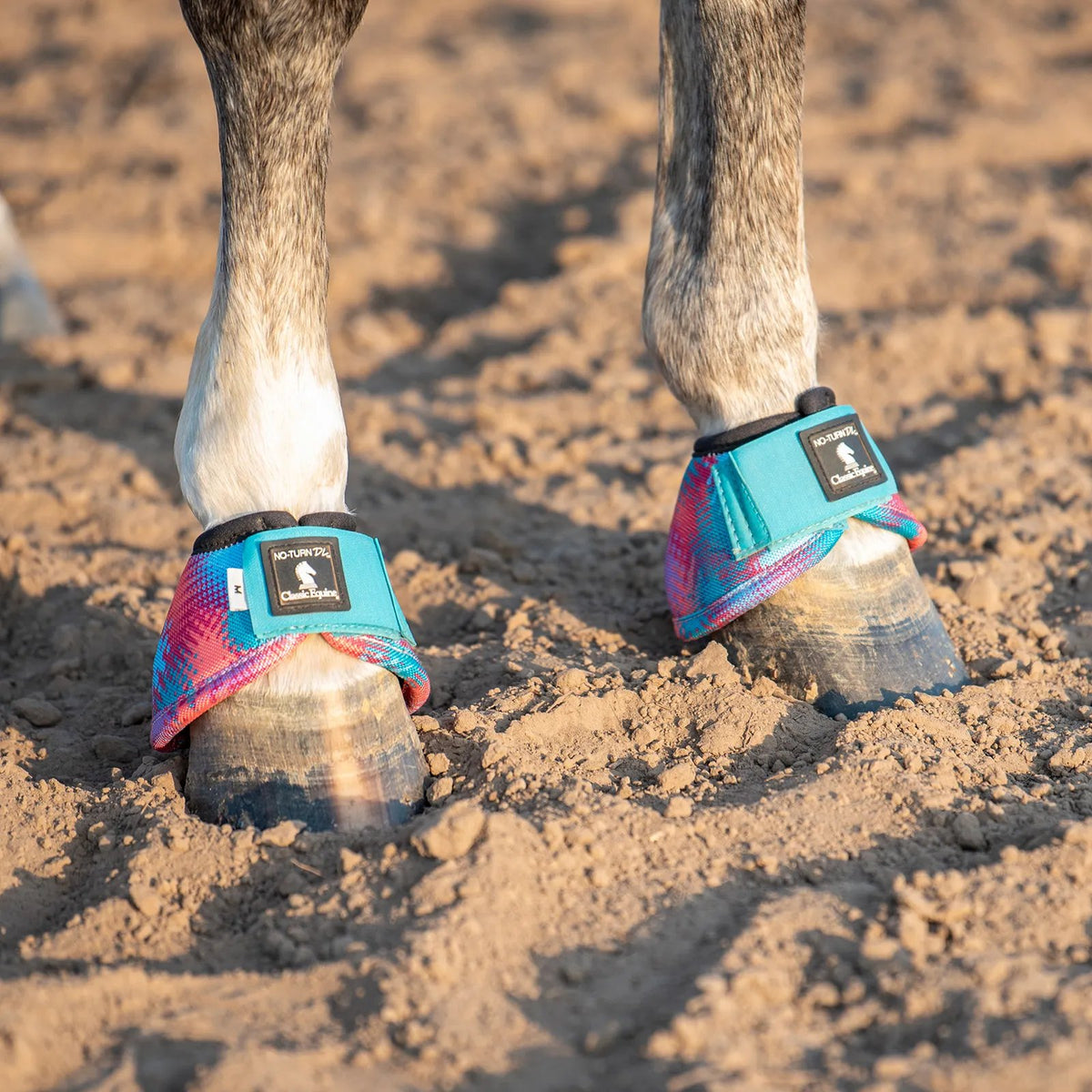 Horse hooves with colorful protective wraps on a dirt ground
