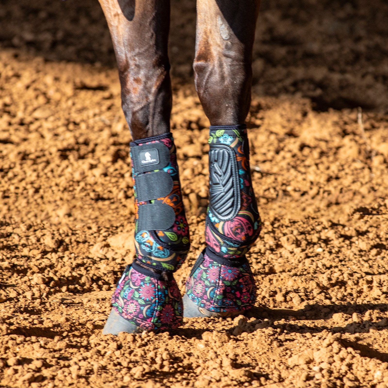 Horse legs wearing colorful protective leg wraps on a dirt ground.