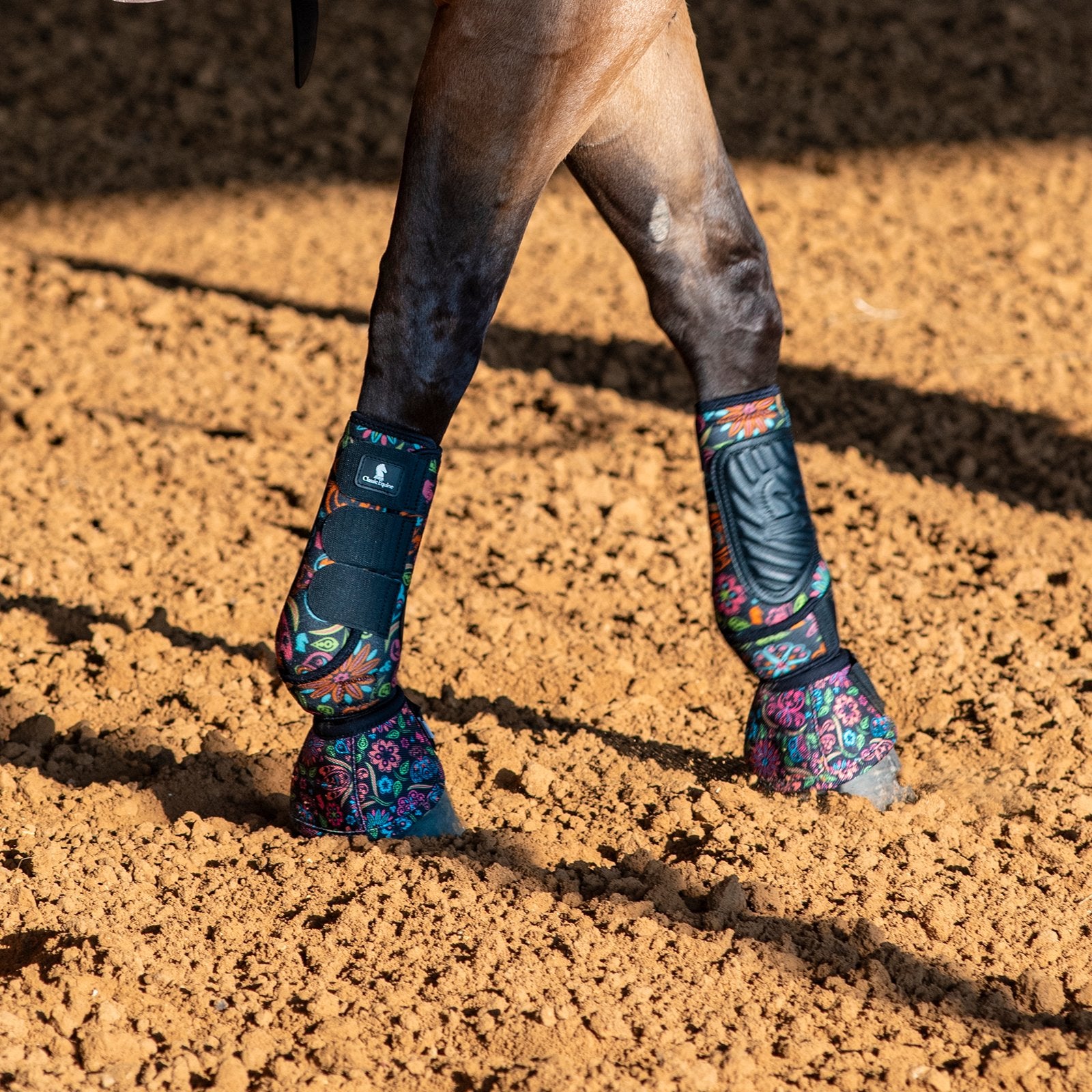 Horse legs wearing colorful protective boots on a dirt ground