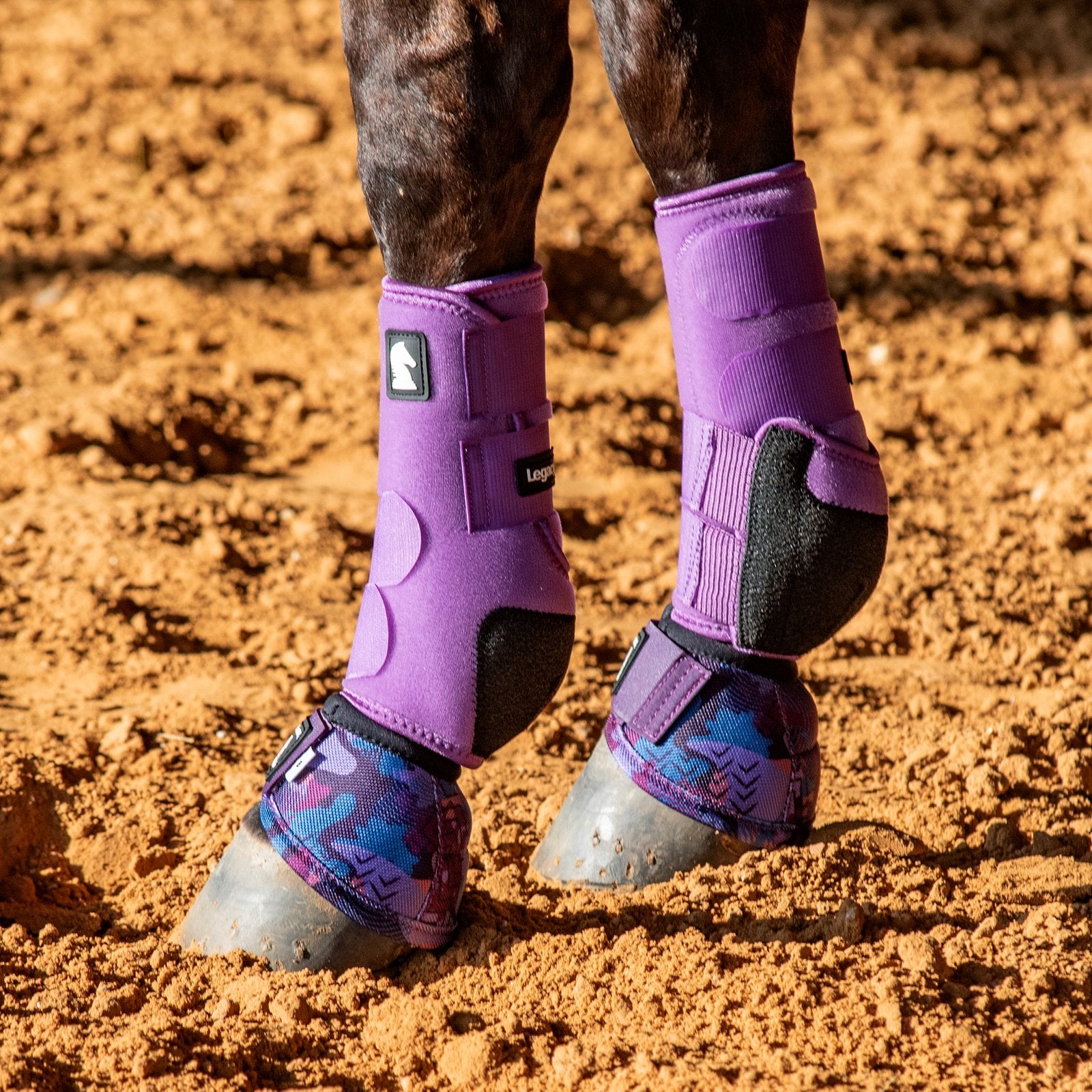 Purple protective leg wraps on horse legs standing on dirt ground