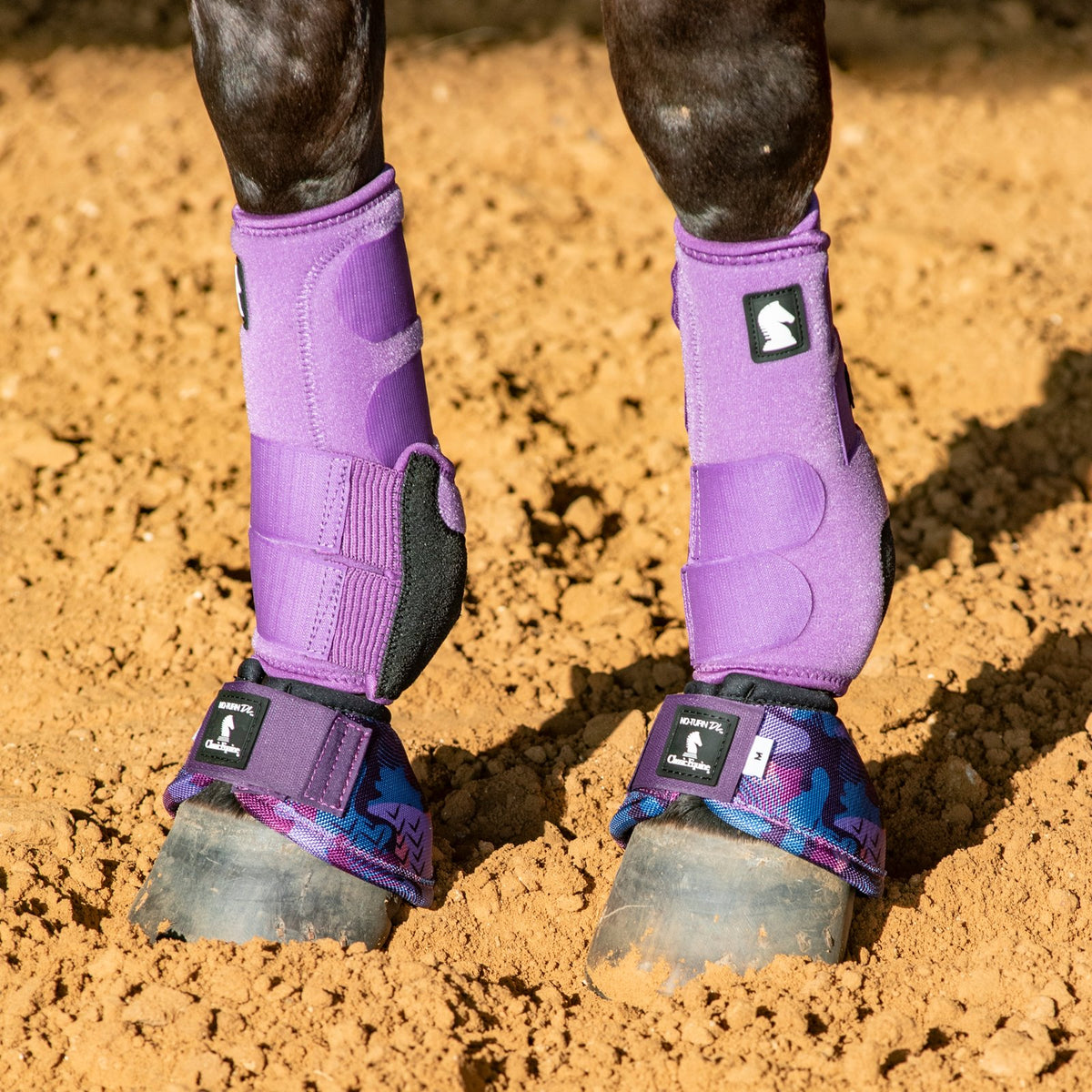 Purple protective boots on horse hooves standing on dirt ground