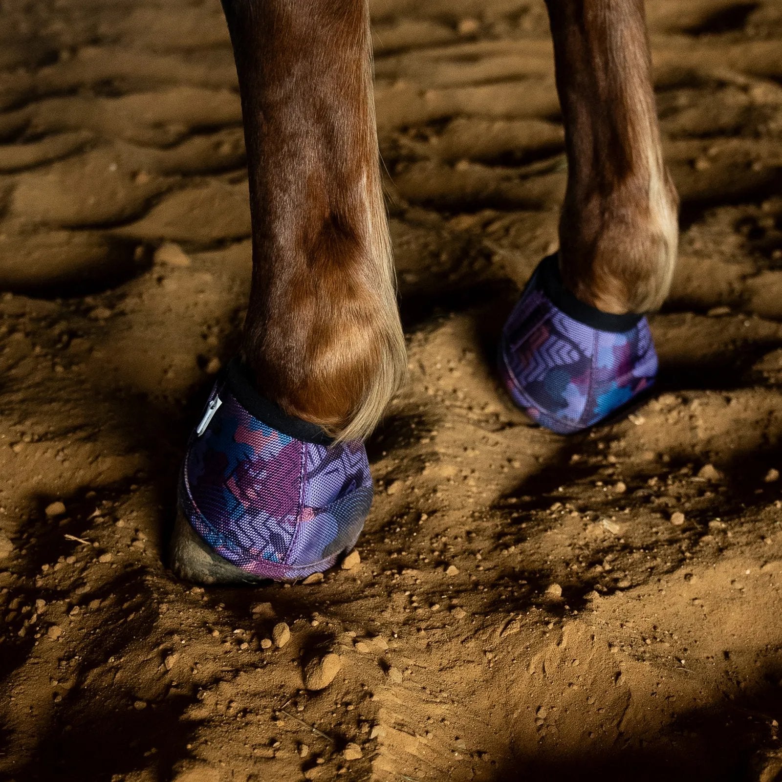 Horse hooves with purple protective boots on a dirt ground