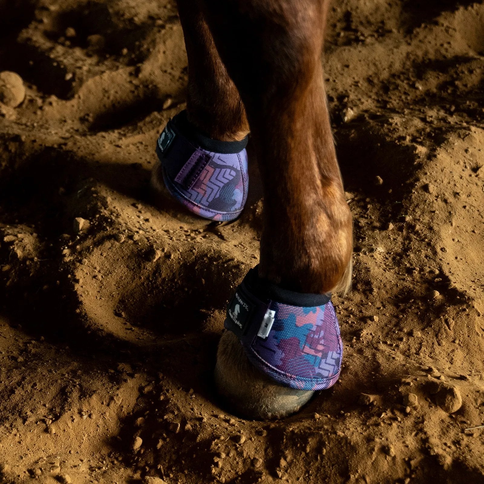 Horse hooves with purple protective booties on a dirt ground