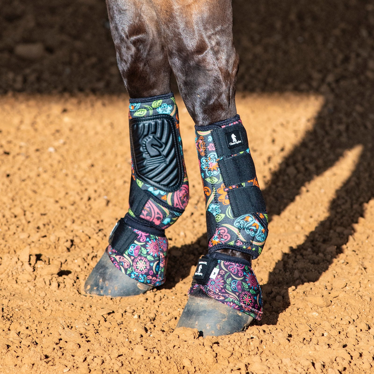 Colorful protective leg wraps on a horse's legs standing on dirt ground.