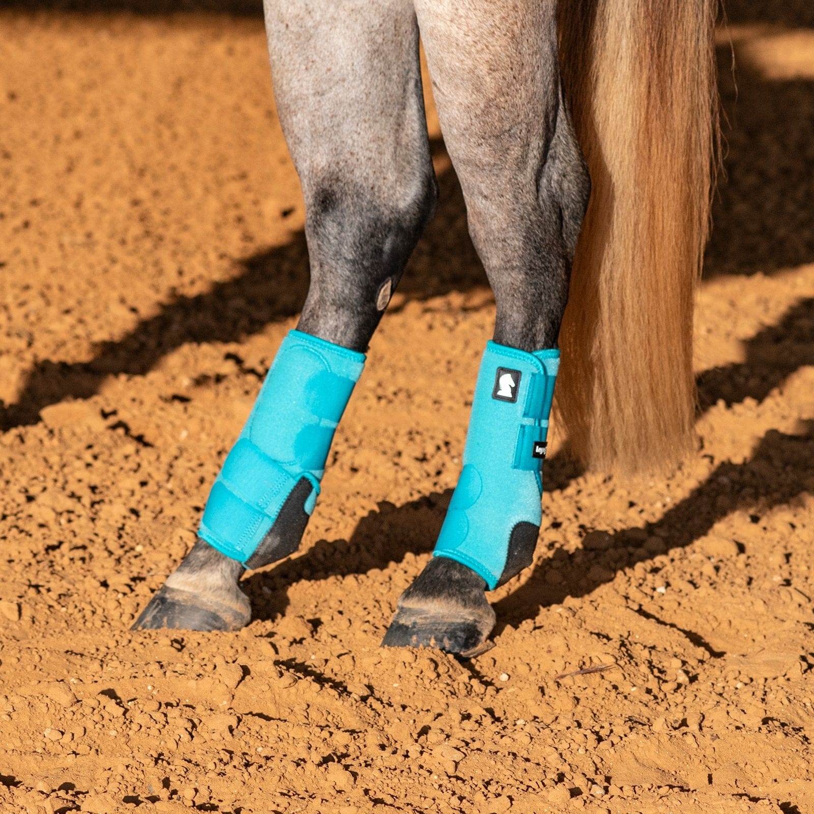 Classic Equine Legacy2 Aqua Hind Support Boots Classic Equine