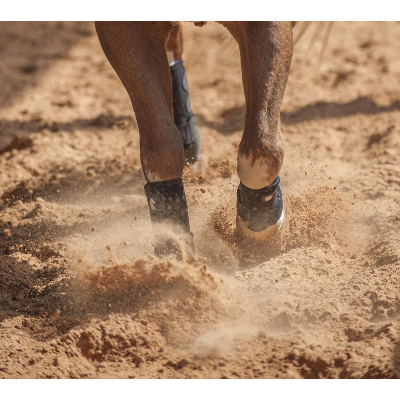 Classic Equine Legacy2 Black Front Support Boots Classic Equine