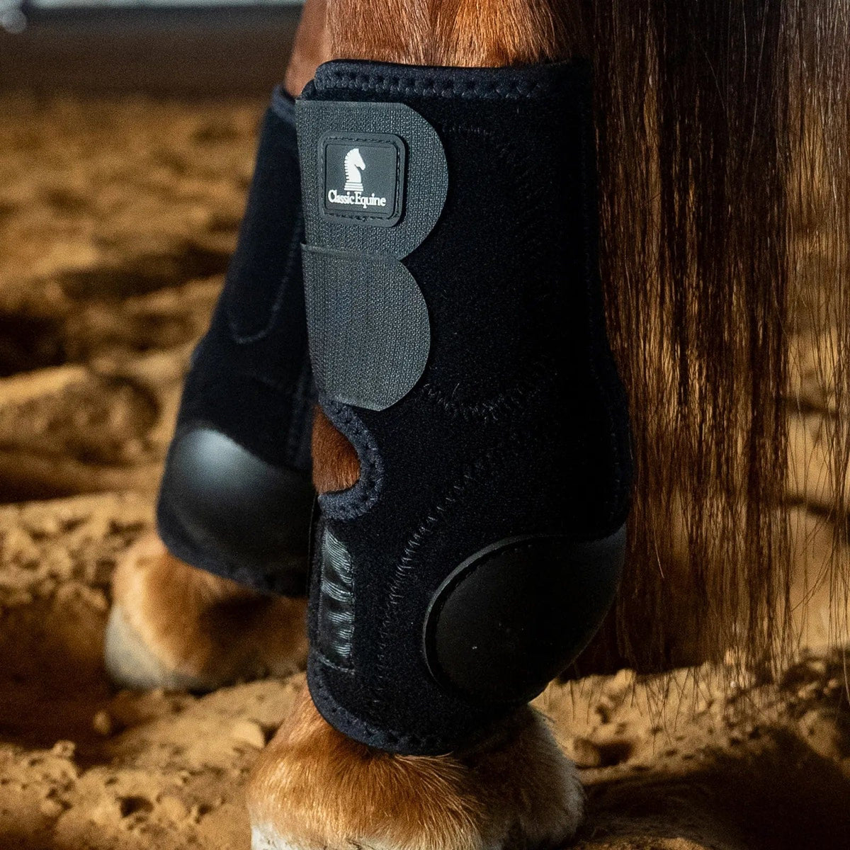 Classic Equine Neoprene Skid Boots Classic Equine