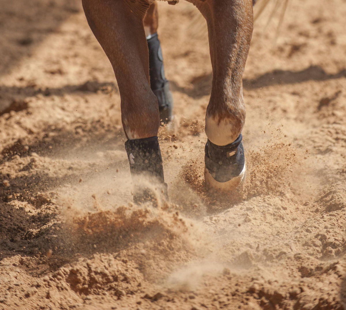 Horse legs running on a dirt track with蹄铁 (hoof shoes) kicking up dust.