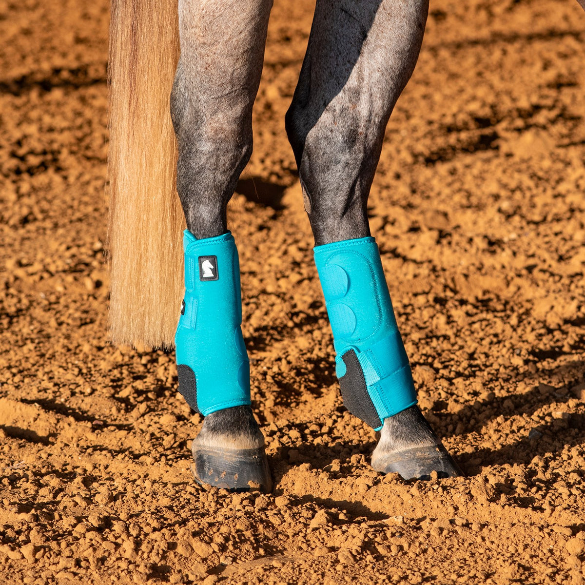 Horse legs wearing blue protective boots on a dirt ground
