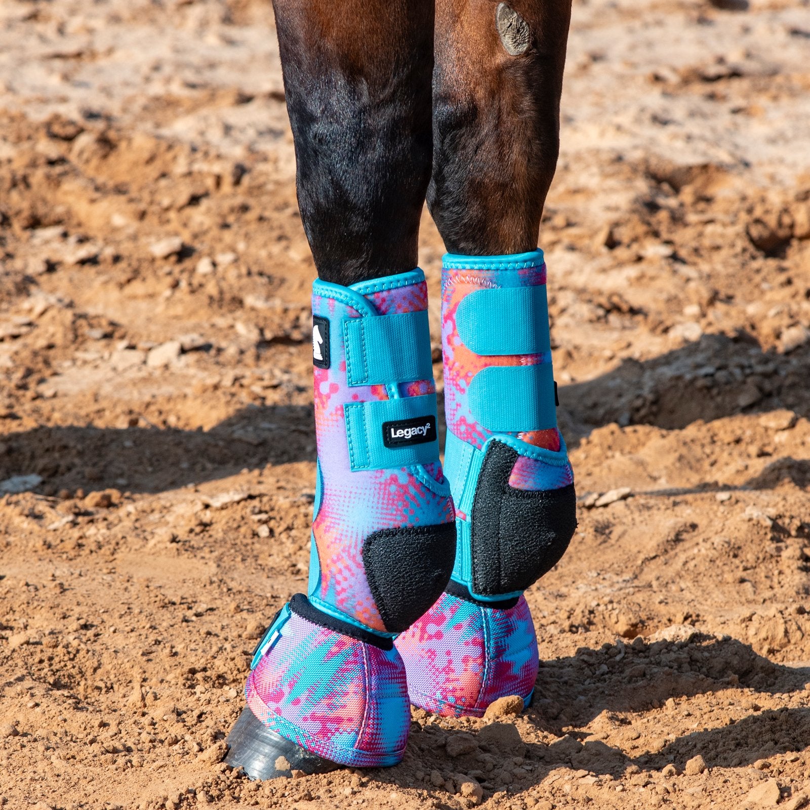 Colorful protective leg wraps on a horse's legs with a dirt ground background