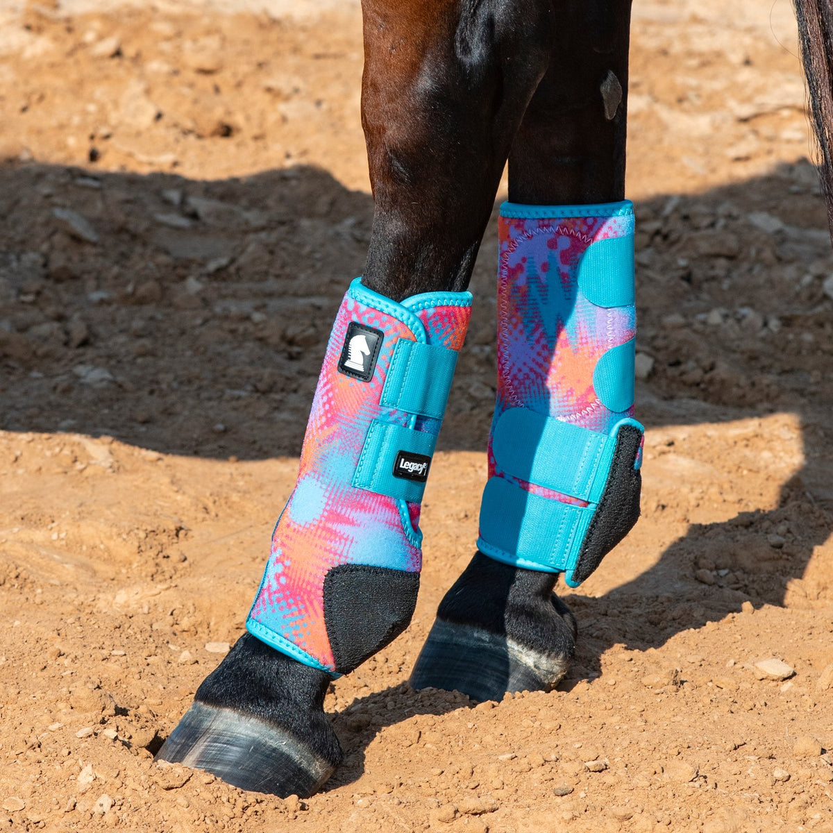 Colorful protective leg wraps on a horse's legs with a dirt ground background