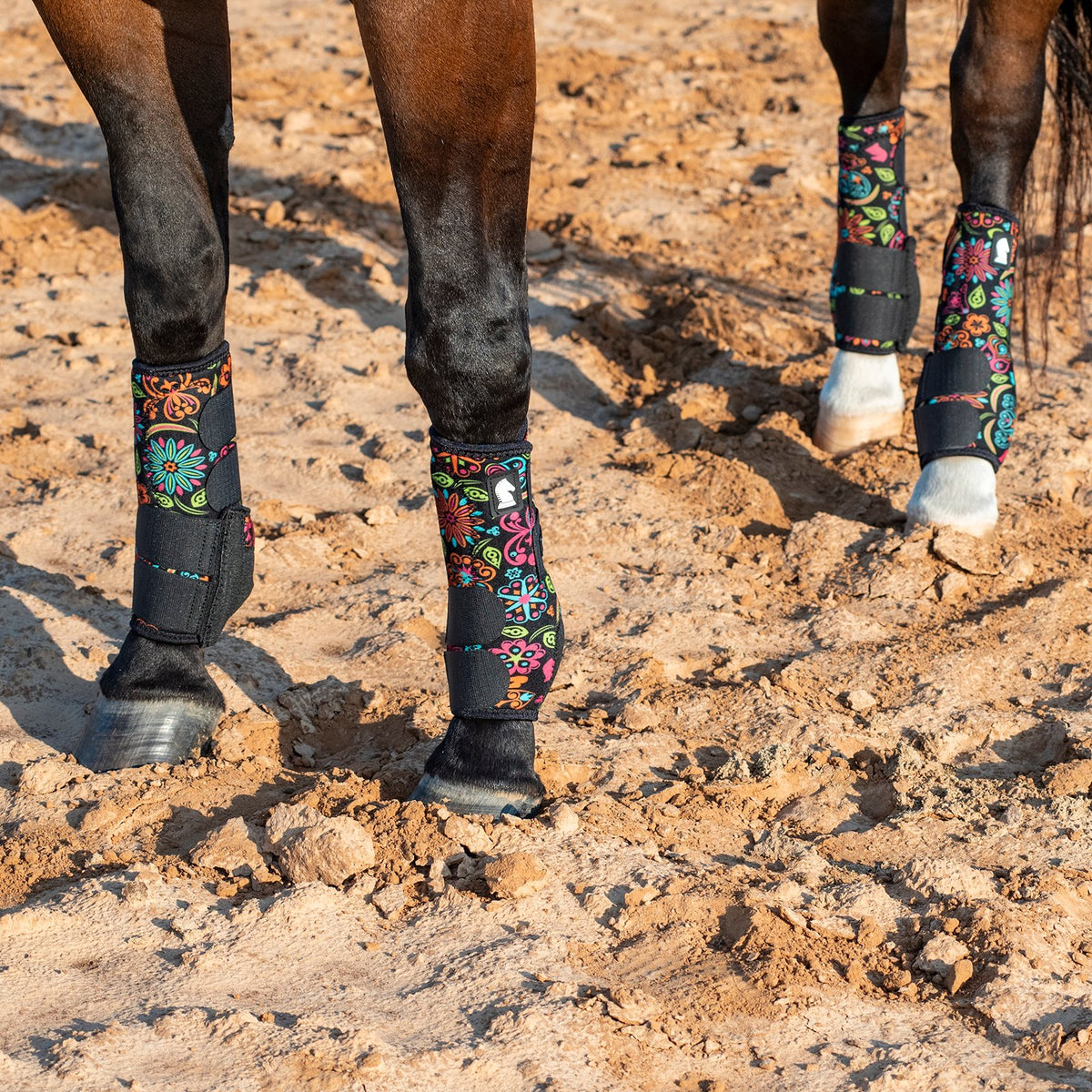 Horses wearing colorful protective leg wraps on a dirt ground