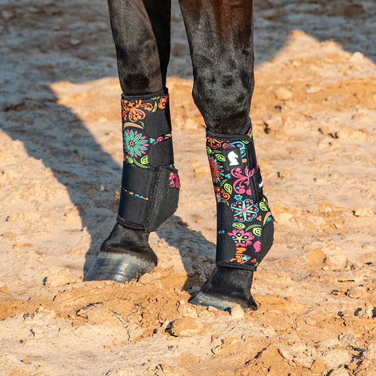 Horse legs wearing colorful protective leg wraps on a dirt ground.
