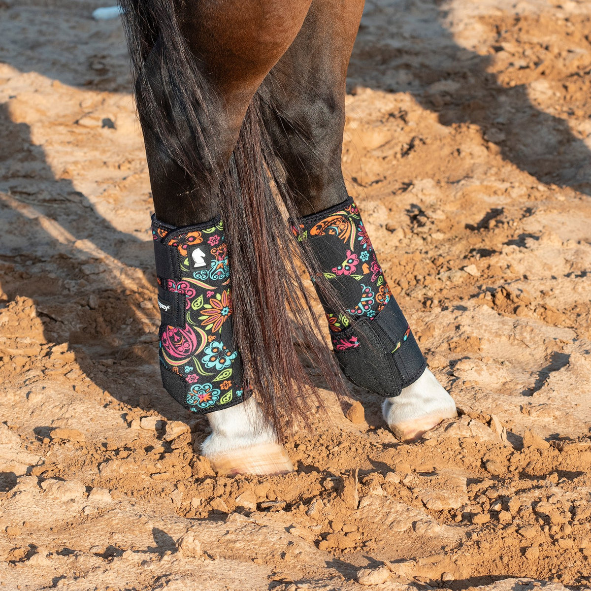 Horse wearing colorful protective leg wraps on a dirt ground