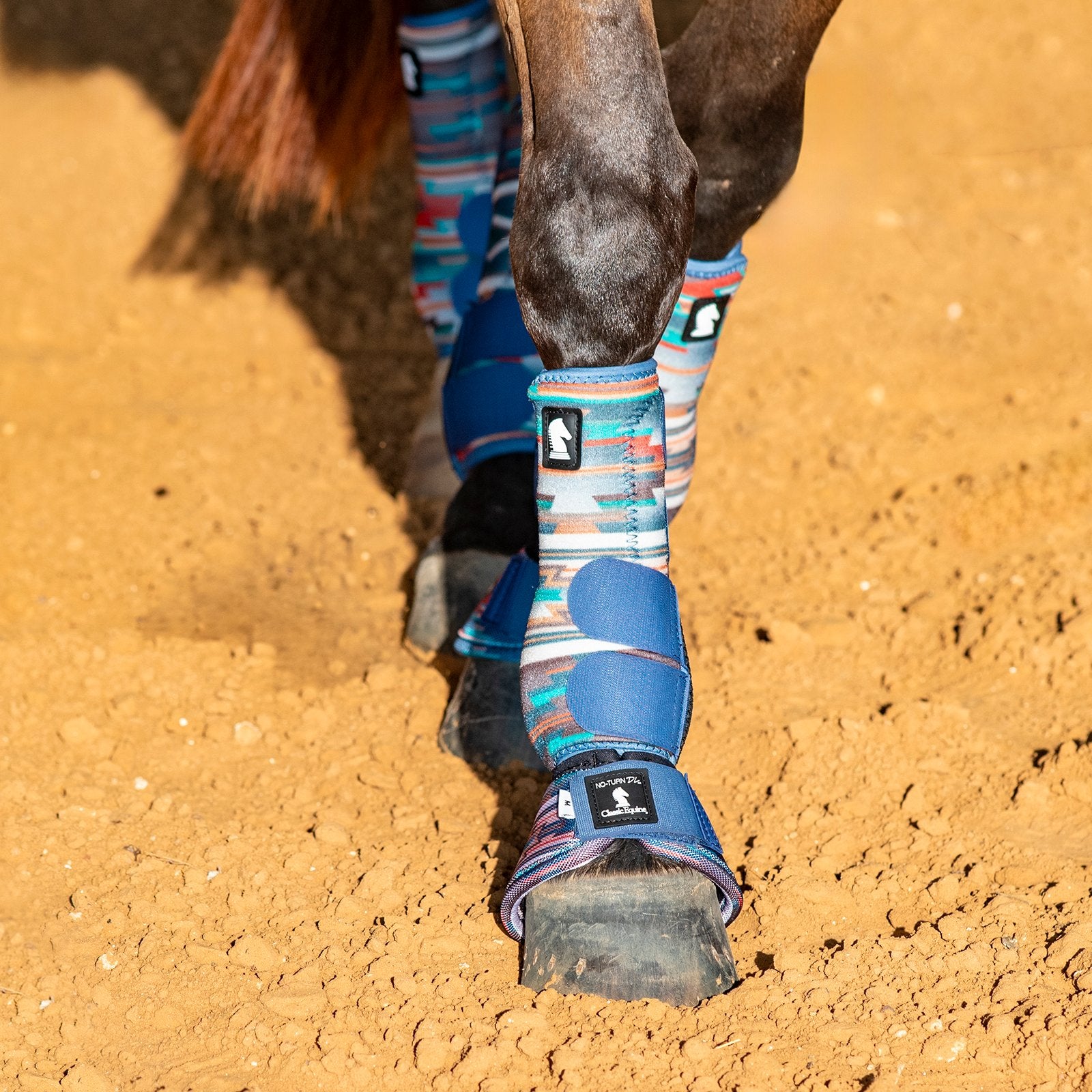 Horse leg with blue protective boot on a dirt ground