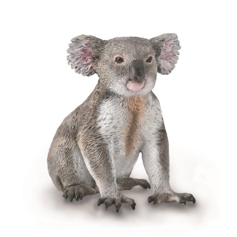 Collecta Koala Collecta