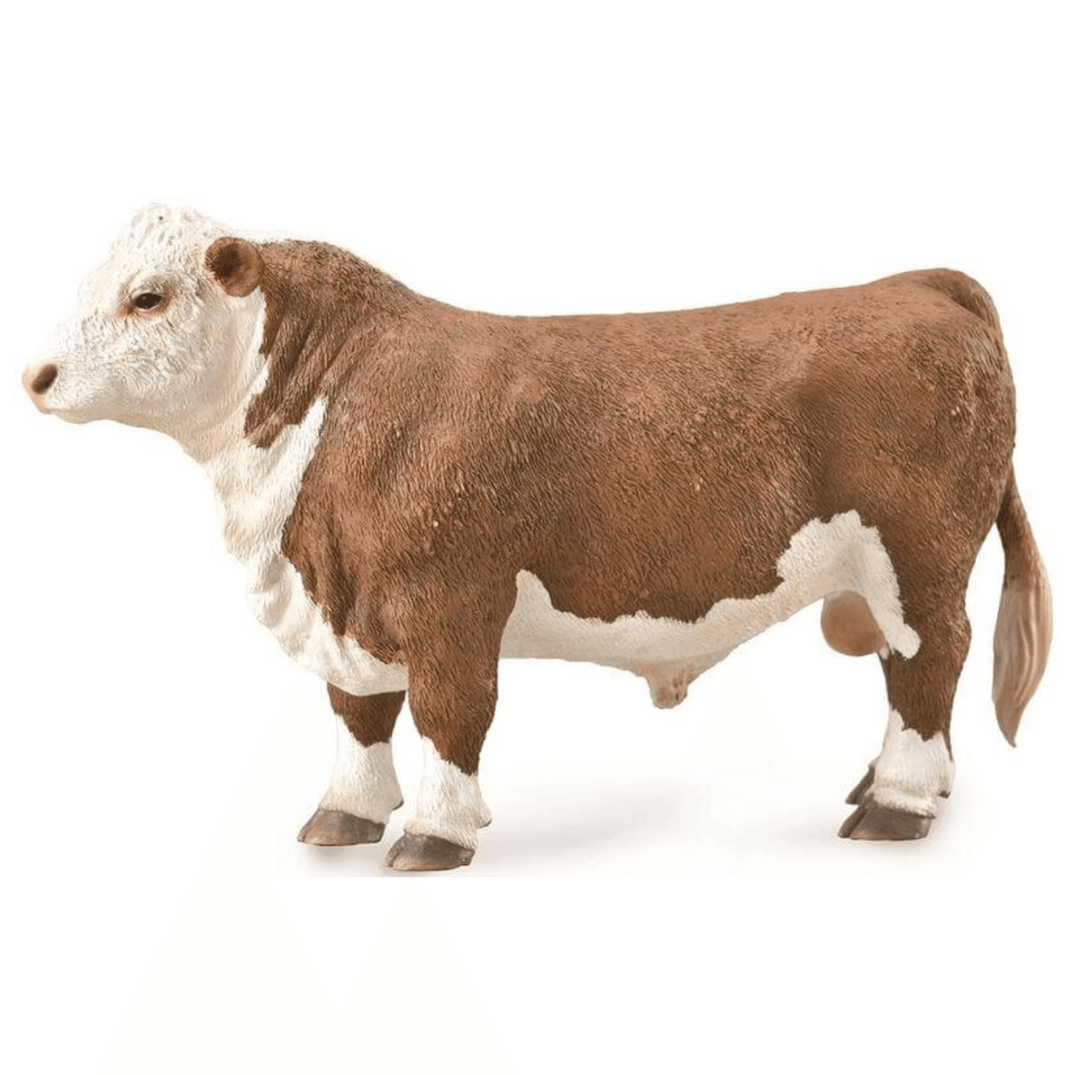 Collecta Polled Hereford Bull Collecta