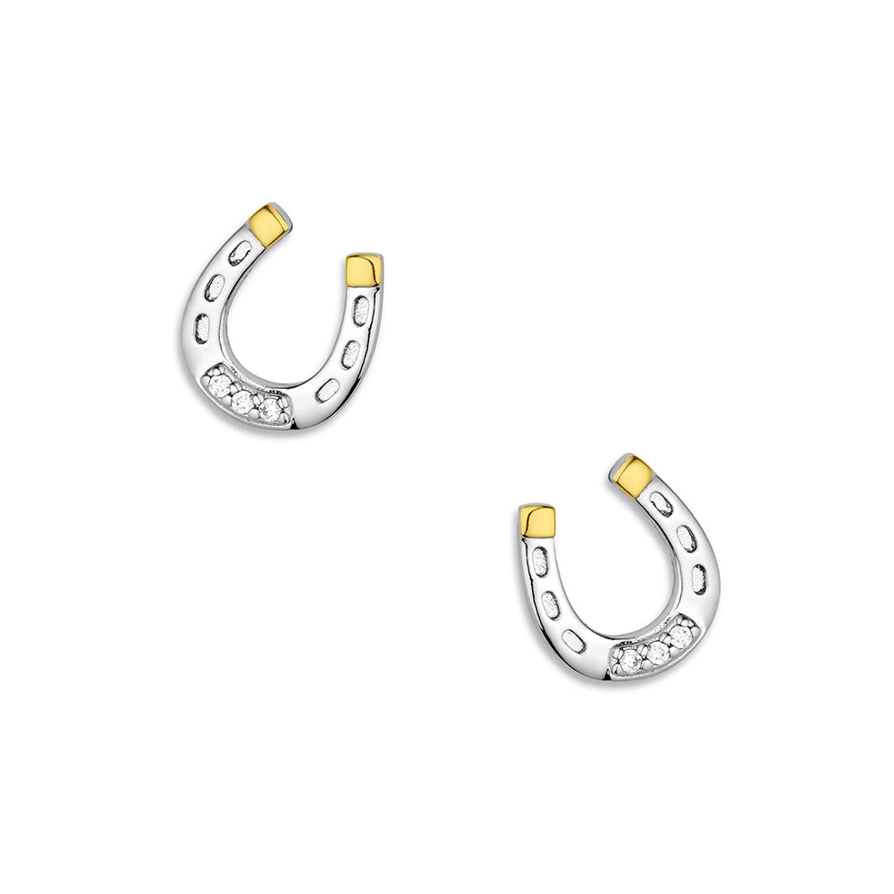 Horseshoe-shaped earrings with gold accents on a white background