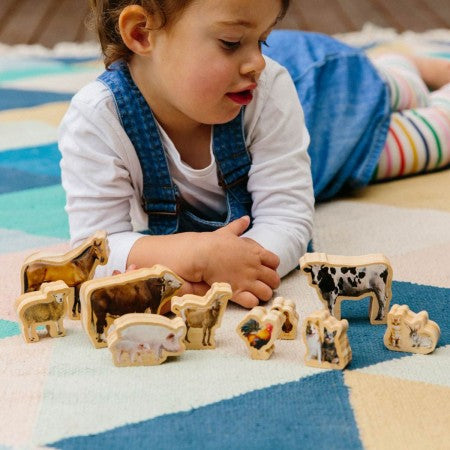 The Freckled Frog My Farm Animals. Child playing with wooden farm animal toys on a colorful rug