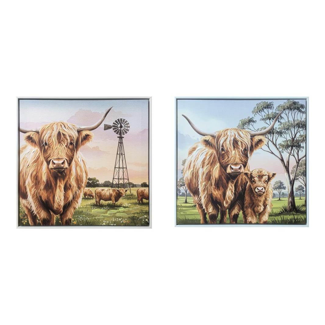 Highland Cow 40cm x 40cm Assorted Framed Canvas Print Malmar