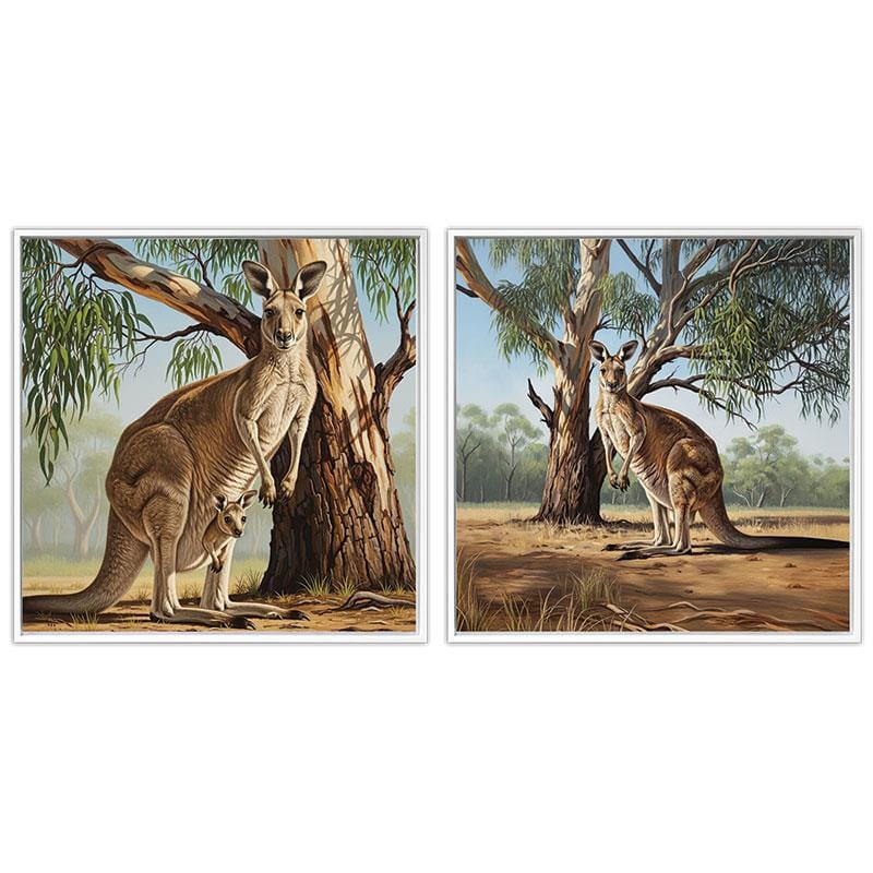 Kangaroo in Bush 40x40cm Assorted Canvas Malmar