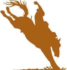 Rocky Mavericks logo