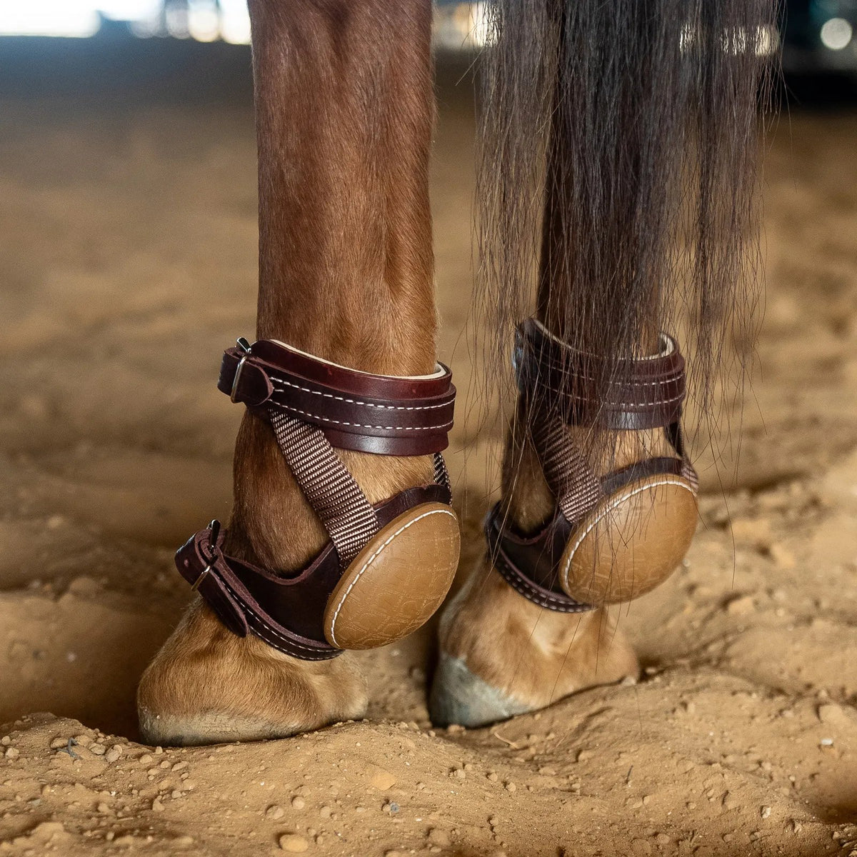 Horse hooves with protective boots on a dirt ground