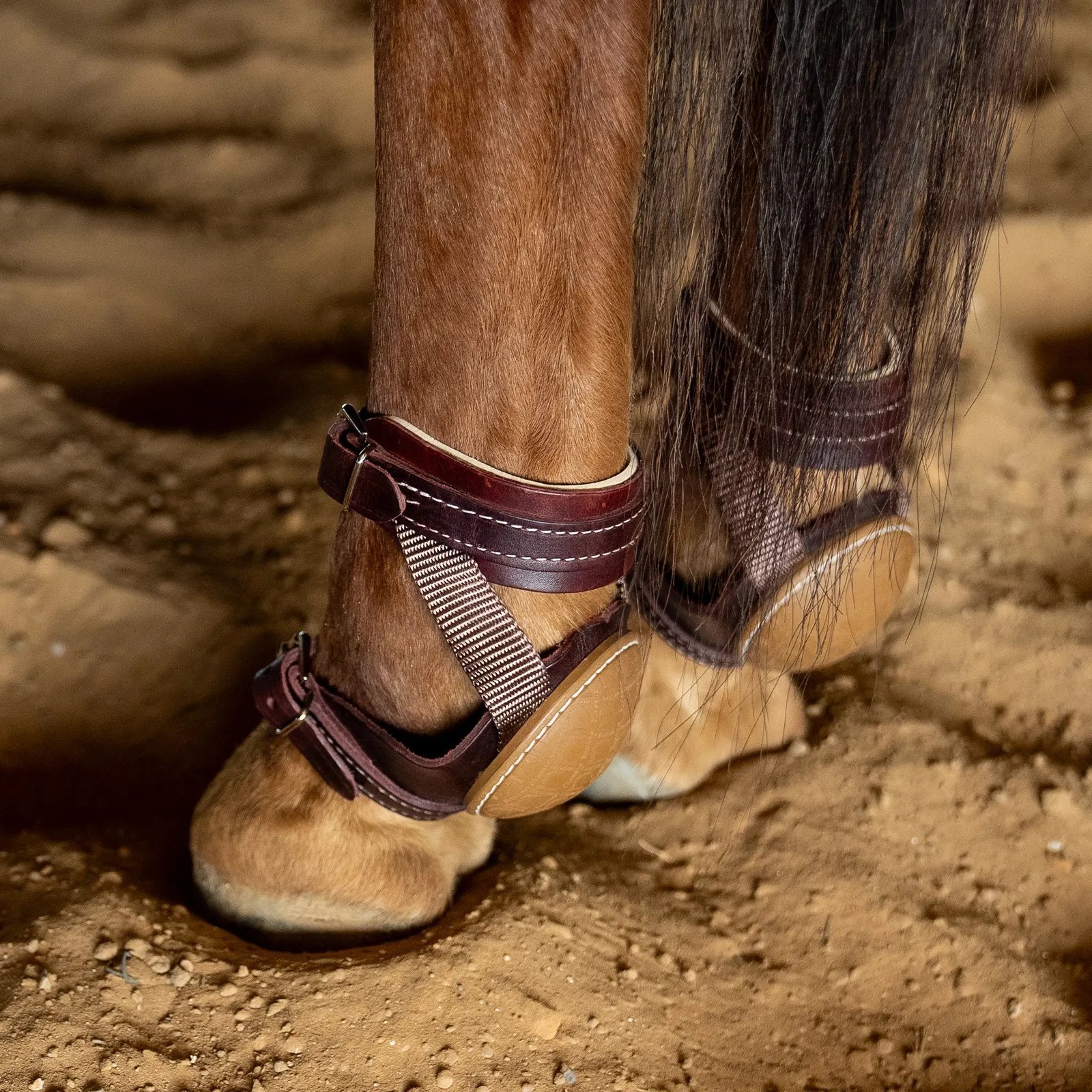 Classic Equine Leather Skid Boots with Nylon Straps