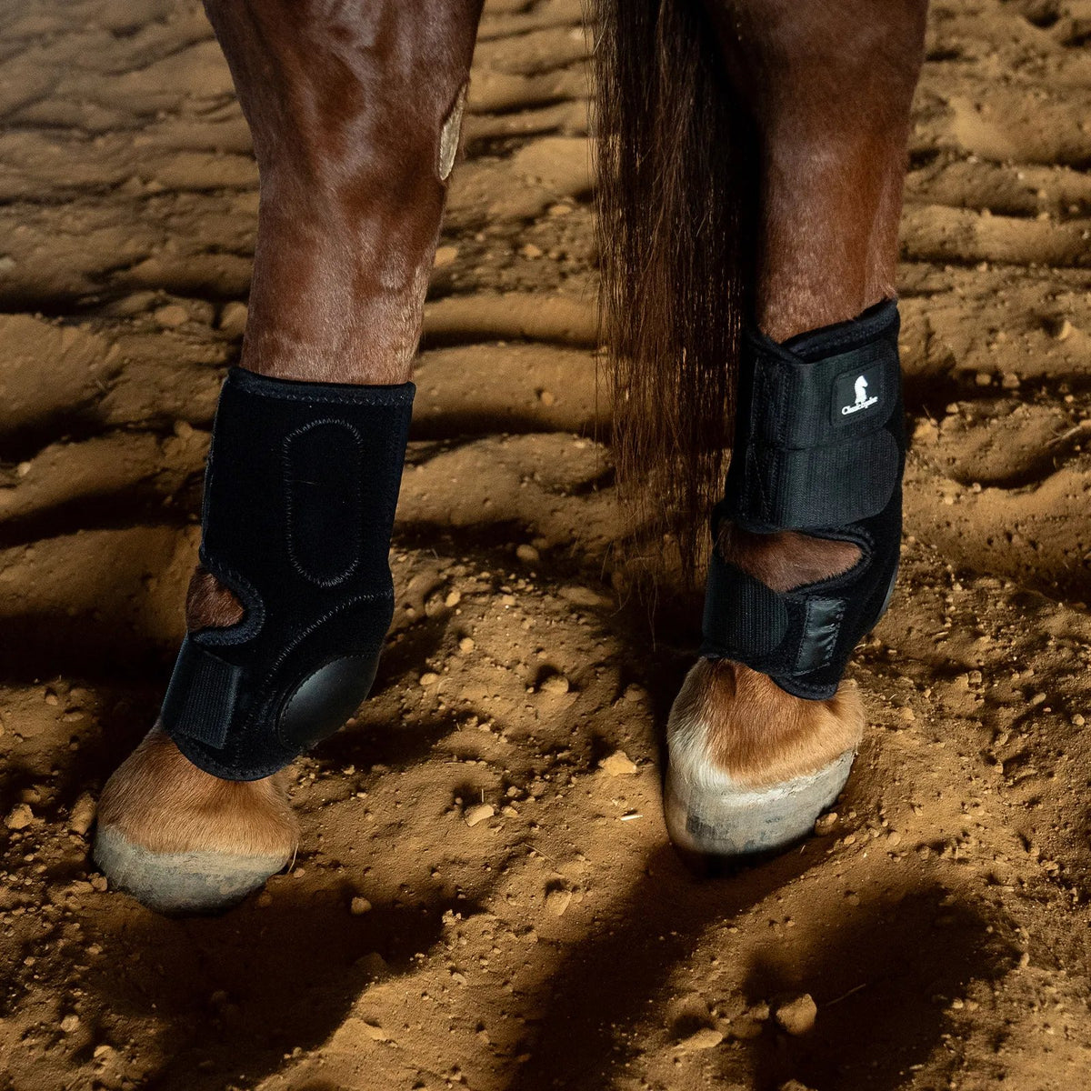 Classic Equine Neoprene Skid Boots