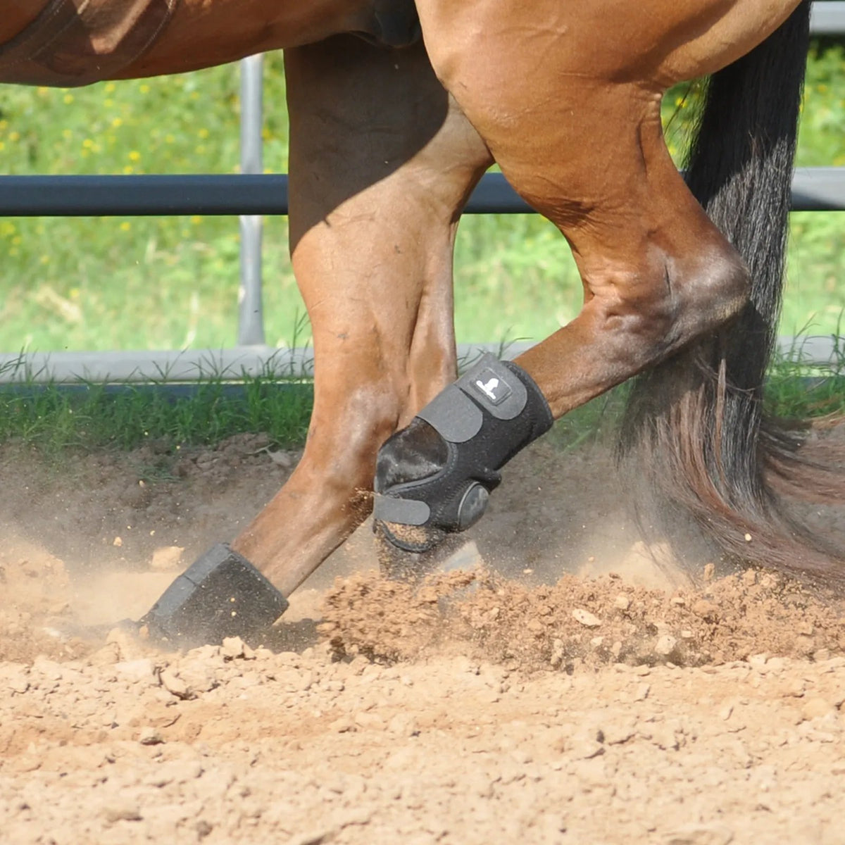 Classic Equine Neoprene Skid Boots