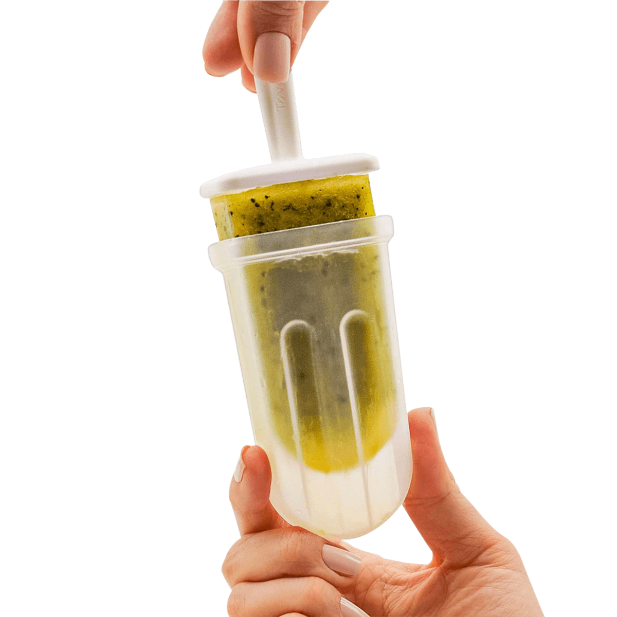 Tovolo Groovy Pop Moulds - Set of 6 with Stand Donaldson Enterprises