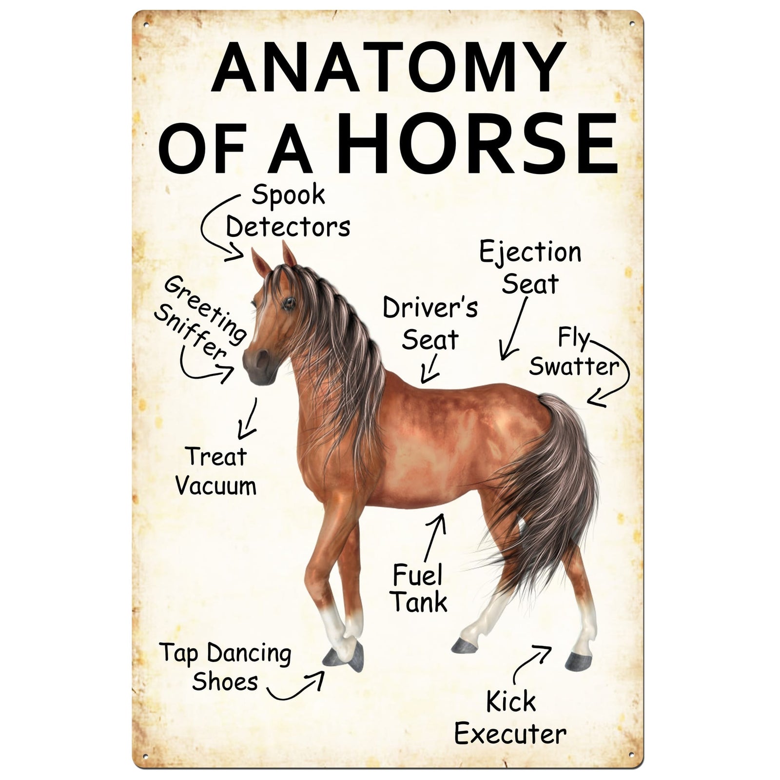 Tulmur Horse Anatomy Tin Sign Tulmur