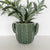Urban Products 20cm Cactus Planter . Green ceramic cactus-shaped mug with bumpy texture on a white background