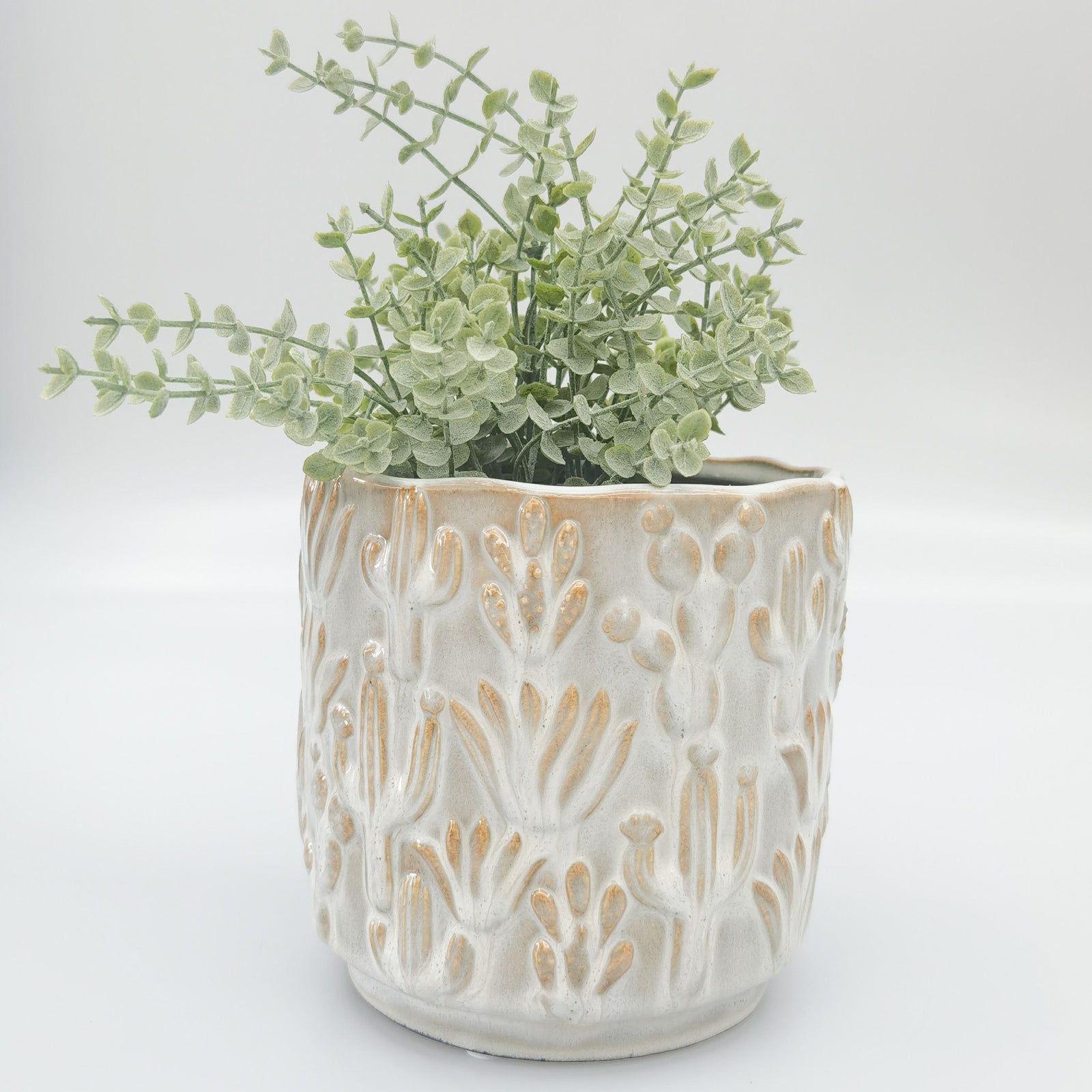 Urban Products 15cm Catus Planter. White ceramic planter with floral embossing on a white background