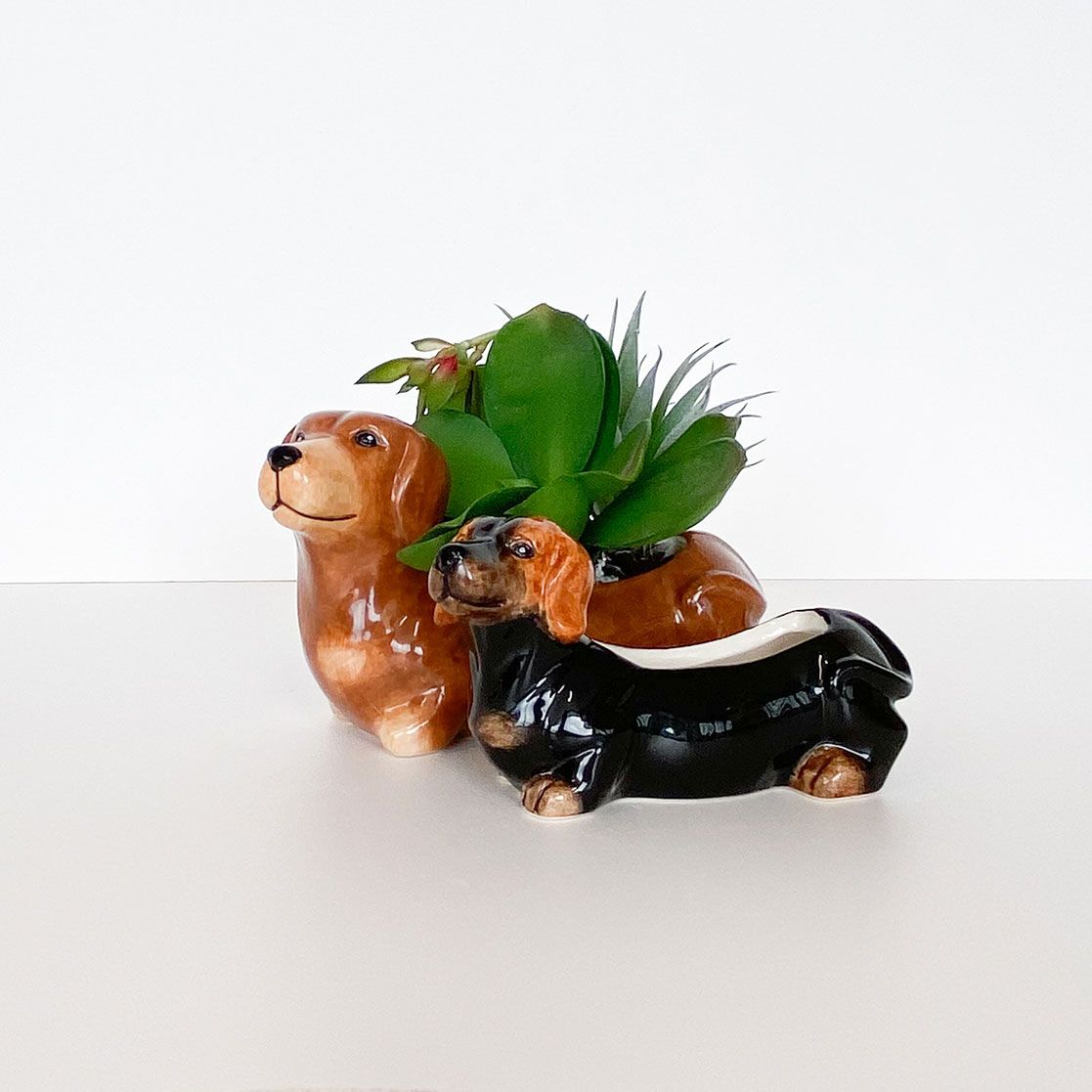 20cm Cute Dachshund Planter Brown. Two ceramic dog planters with a small plant inside on a white background