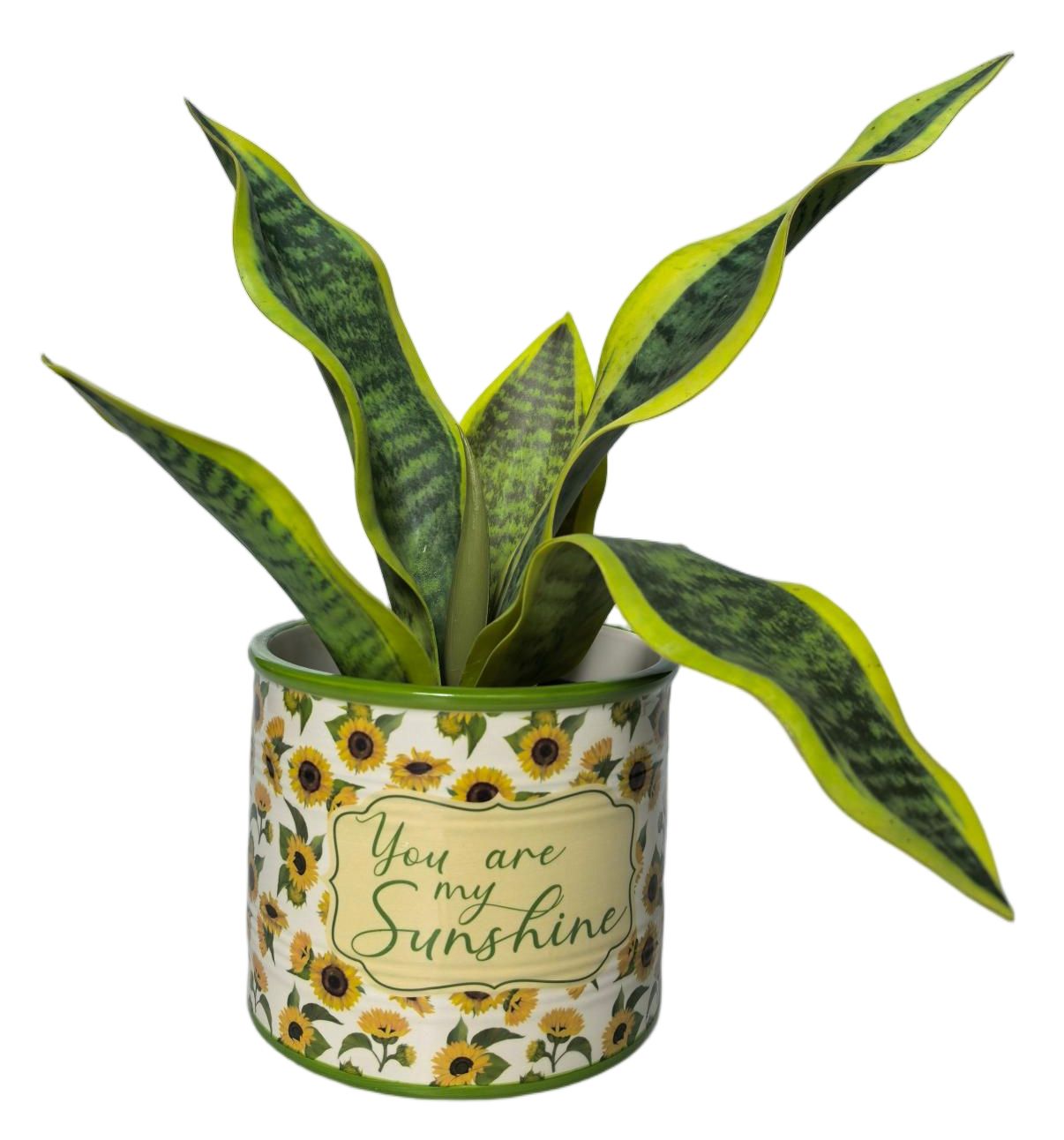 Urban Products Sunflowers Planter