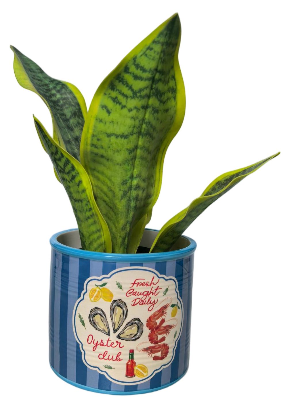 Urban Products Sea Vita Planter- Blue