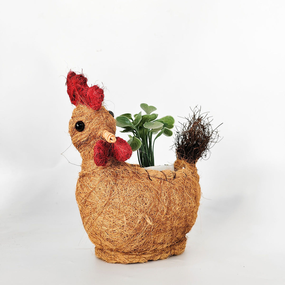 Urban Products 26cm Husk Rooster Planter . Coconut husk chicken-shaped planter with a plant on a white background