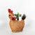 Urban Products 26cm Husk Rooster Planter . Decorative chicken made of straw with a red comb on a white background