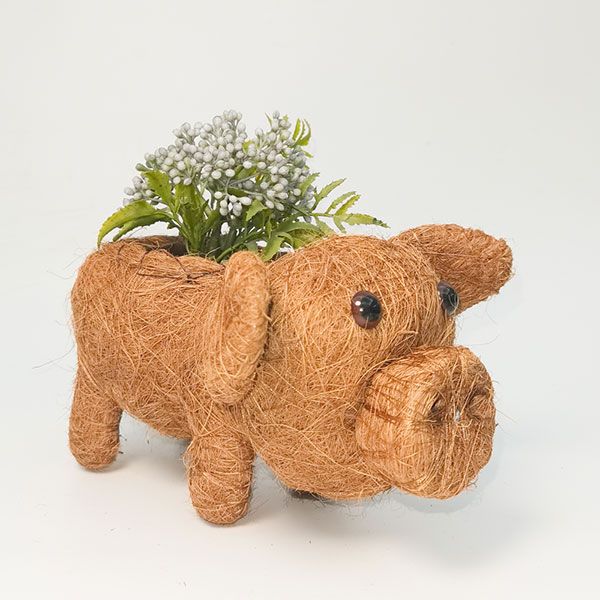 Urban Products 15cm Husk Pig Planter 