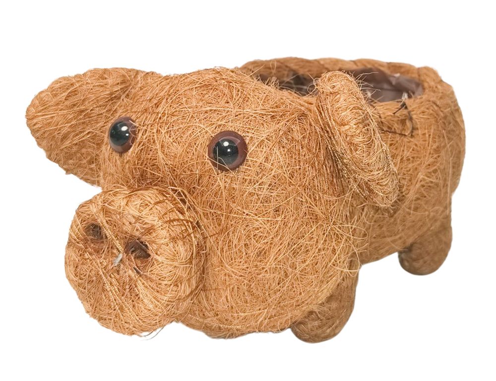 Urban Products 15cm Husk Pig Planter 