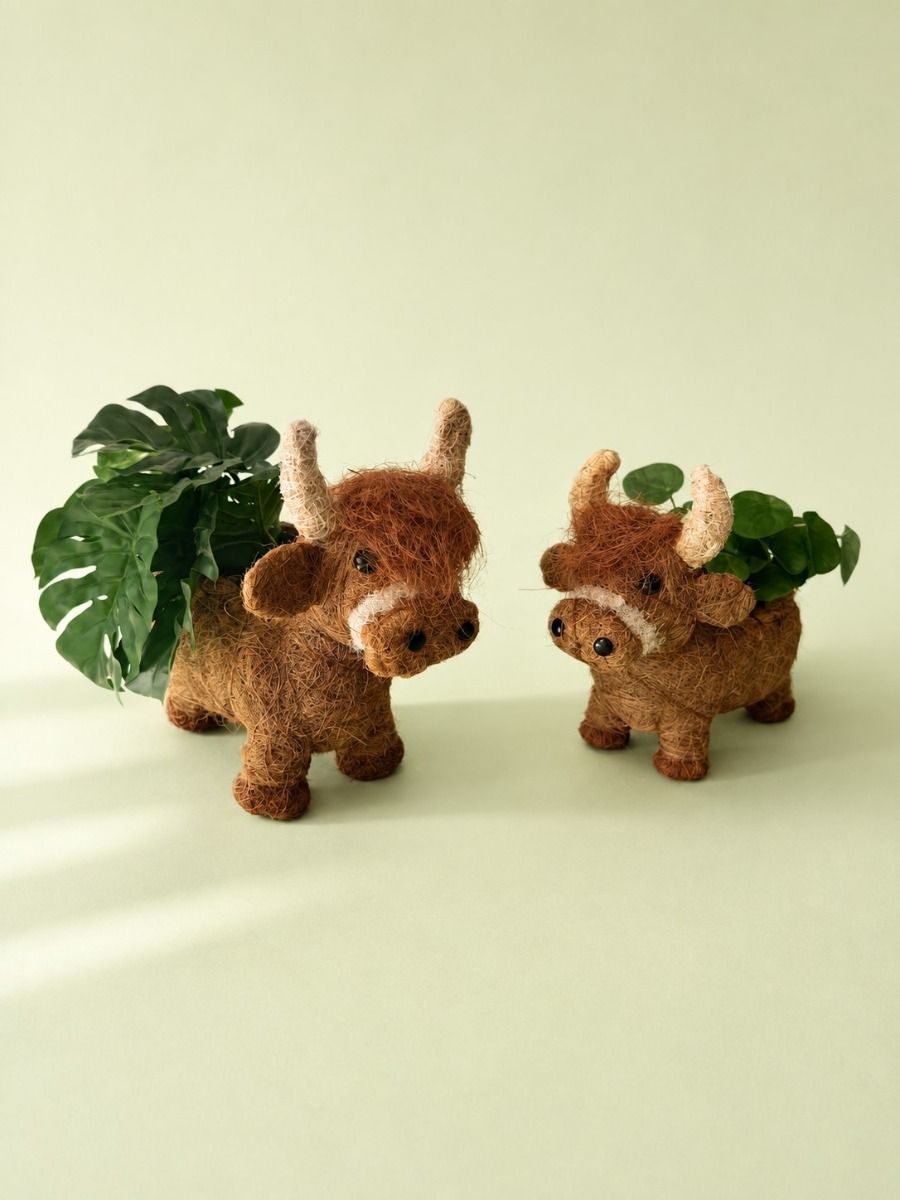 A rustic decorative animal-shaped planter shaped like a shaggy brown cow or goat, made from natural coir fiber, with a dark brown liner visible inside, on a plain white background.